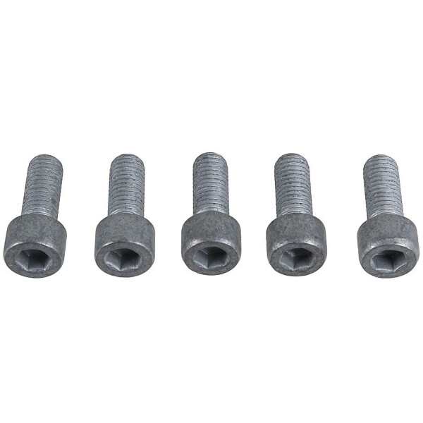 Spray Plate Brake Disc M10x25 hexagon socket METZGER for AUDI A6 and others