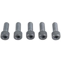 Spray Plate Brake Disc M10x25 hexagon socket METZGER for...