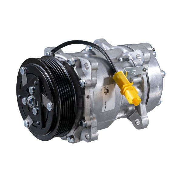 Klimakompressor 12 V Ø 119 HELLA IAM-Expertise für u.a. CITROËN C8
