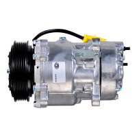 Klimakompressor 12 V Ø 119 HELLA IAM-Expertise für u.a. CITROËN C8