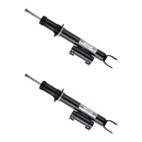 Stoßdämpfer-Set vorne li/re federtragend...