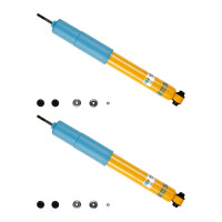 Stoßdämpfer-Set hinten Gas nicht tragend...