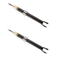 Stoßdämpfer-Set vorne Gas federtragend...