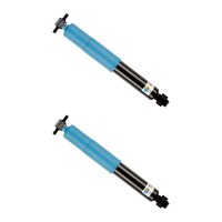 Stoßdämpfer-Set hinten Gas nicht tragend...