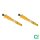 Rear shock absorber set gas pressure spring-loaded BILSTEIN B6 for DAIMLER 2.8 - 5.3