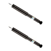 Stoßdämpfer-Set hinten Gas nicht federtragend...