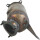 Catalytic converter cat. with mounting parts BOSAL for AUDI A5 Sportback