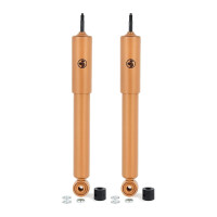 Stoßdämpfer-Set hinten Gasdruck...