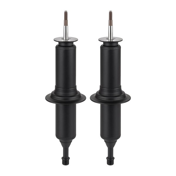 Shock absorber set front oil pressure shock absorber KYB for e.g. RENAULT 12