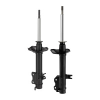 Stoßdämpfer-Set hinten li/re Gasdruck...