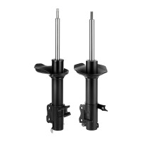 Stoßdämpfer-Set hinten li/re Gasdruck...