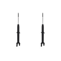 Shock Absorber Set Rear Gas Pressure Spring-bearing...