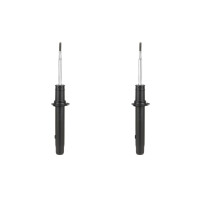 Stoßdämpfer-Set vorne Gasdruck tragender...