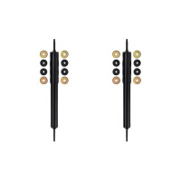 Stoßdämpfer-Set vorne Gasdruck...