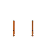 Shock Absorber Set Rear Gas Pressure Tele Shock Absorber...