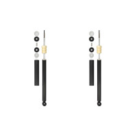 Shock Absorber Set Rear Gas Pressure Tele Shock Absorber...