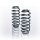 Suspension spring set rear axle Ø 14.5 mm 242 mm EIBACH for AUDI A6 C5 At