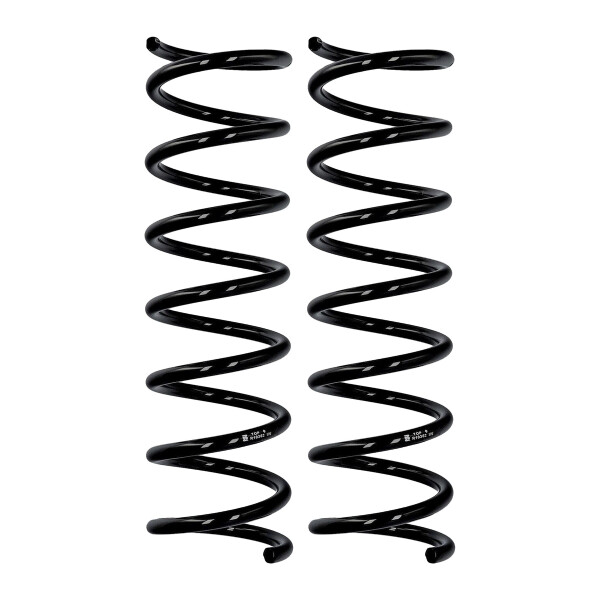 Fahrwerksfedern-Set Hinterachse Ø 11 mm 376 mm EIBACH für u.a. FORD FOCUS II