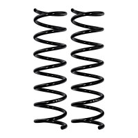 Fahrwerksfedern-Set Hinterachse Ø 11 mm 376 mm...