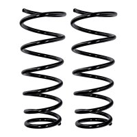 Fahrwerksfedern-Set Vorderachse Ø 13,2 mm 393 mm...