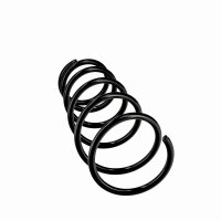 Suspension Spring Set Front Axle Coil Spring Ø 12.5 mm EIBACH for FIAT SEDICI