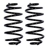 Fahrwerksfedern-Set Hinterachse Ø 13,2 mm 309 mm...