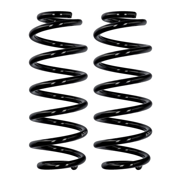 Fahrwerksfedern-Set Hinterachse Ø 12,2 mm 301 mm EIBACH für u.a. VW GOLF V