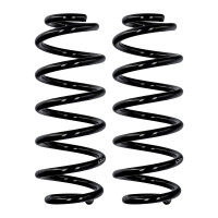 Fahrwerksfedern-Set Hinterachse Ø 12,2 mm 301 mm...