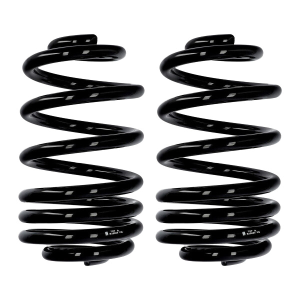Fahrwerksfedern-Set hinten Ø 17 mm 285 mm EIBACH für u.a. RENAULT TRAFIC II