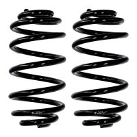 Suspension spring set rear Ø 13.8 mm 298 mm EIBACH...