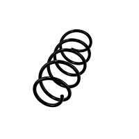 Suspension Spring Set front coil spring Ø 11.2 mm EIBACH for e.g. FIAT GRANDE