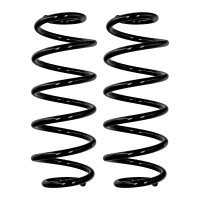 Suspension spring set front axle Ø 13.2 mm 360 mm...