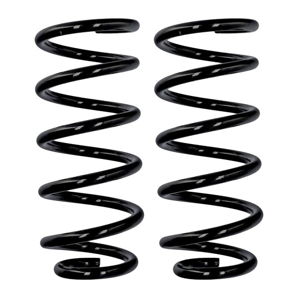 Fahrwerksfedern-Set Hinterachse Ø 13,5 mm 302 mm EIBACH für u.a. VW PASSAT B5.5