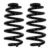 Suspension spring set rear axle Ø 15.5 mm 284 mm...