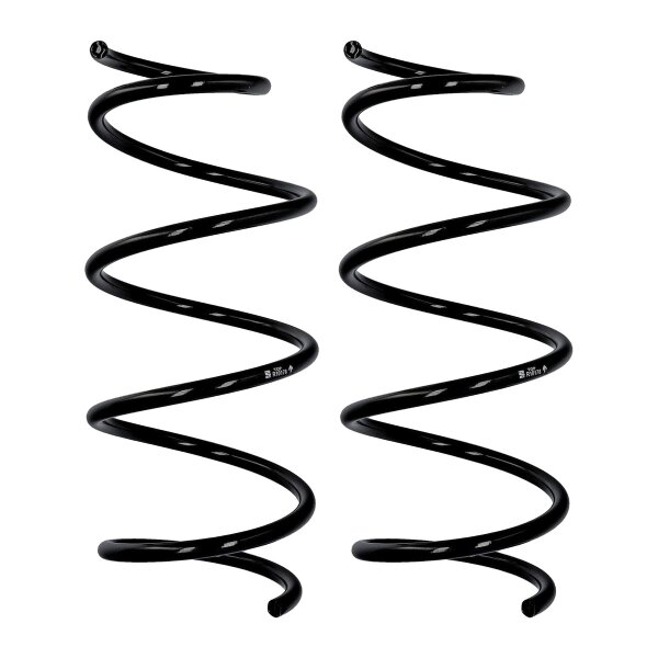 Suspension spring set front axle Ø 12 mm 371 mm EIBACH for e.g. RENAULT CLIO II