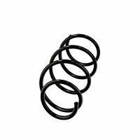 Suspension Spring Set front coil spring Ø 12 mm EIBACH for e.g. RENAULT CLIO