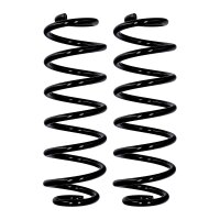 Fahrwerksfedern-Set Hinterachse Ø 11,5 mm 337 mm...