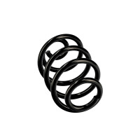 Suspension Spring Set rear coil spring Ø 13.2 mm EIBACH for e.g. RENAULT CLIO