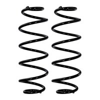 Fahrwerksfedern-Set Hinterachse Ø 10,2 mm 360 mm...