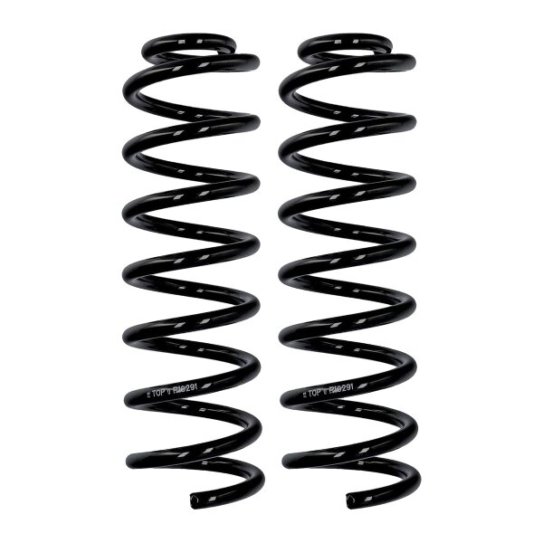 Fahrwerksfedern-Set Hinterachse Ø 11,8 mm 341 mm EIBACH für RENAULT SCÉNIC II