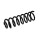 Suspension Spring Set rear coil spring Ø 11,8 mm EIBACH for RENAULT SCÉNIC