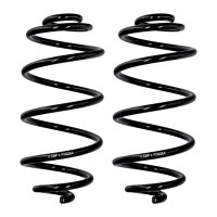 Fahrwerksfedern-Set Hinterachse Ø 12,2 mm 319 mm...