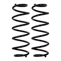 Fahrwerksfedern-Set Hinterachse Ø 11,2 mm 374 mm...