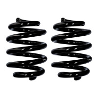 Fahrwerksfedern-Set Hinterachse Ø 20 mm 245 mm...