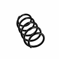 Suspension Spring Set front Ø 13,8 mm EIBACH for e.g. RENAULT KANGOO