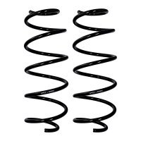 Fahrwerksfedern-Set Vorderachse Ø 11 mm 391 mm...
