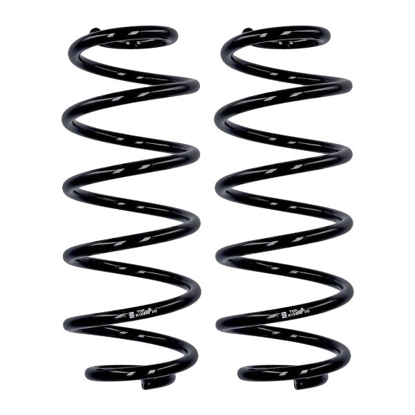 Suspension spring set rear axle Ø 11.5 mm 319 mm EIBACH for FIAT BRAVO II