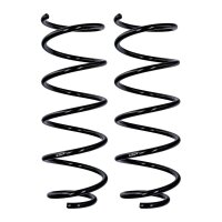 Suspension spring set front axle Ø 13 mm 466 mm...