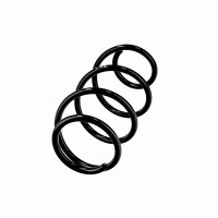 Suspension Spring Set front coil spring Ø 12.5 mm EIBACH for e.g. RENAULT CLIO