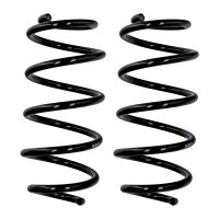 Fahrwerksfedern-Set Vorderachse Ø 13,2 mm 335 mm...